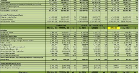 annual report pnbn 2020